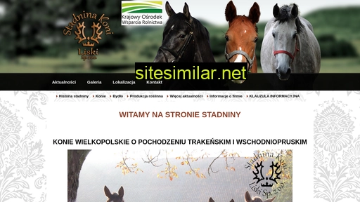 skliski.pl alternative sites