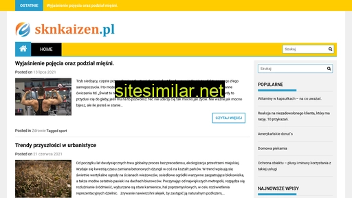 sknkaizen.pl alternative sites