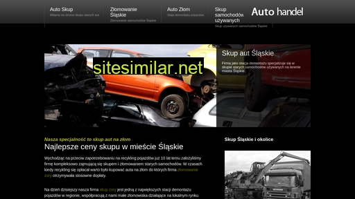 skup-aut-365.pl alternative sites