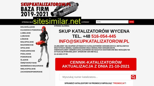 skupkatalizatorow.pl alternative sites