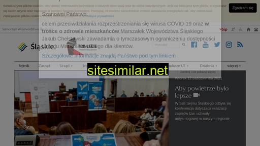 slaskie.pl alternative sites