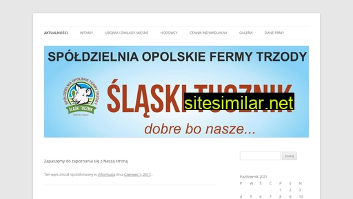 slaskitucznik.pl alternative sites