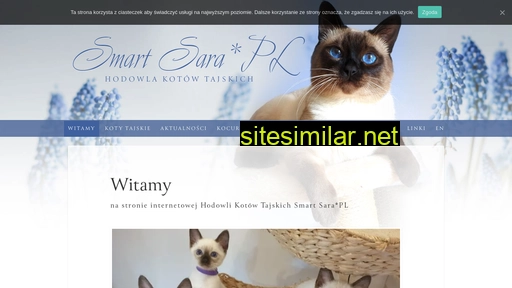 smartsara.pl alternative sites