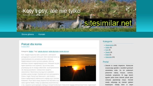 smielow.pl alternative sites