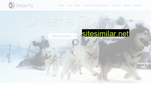sniezne-psy.pl alternative sites