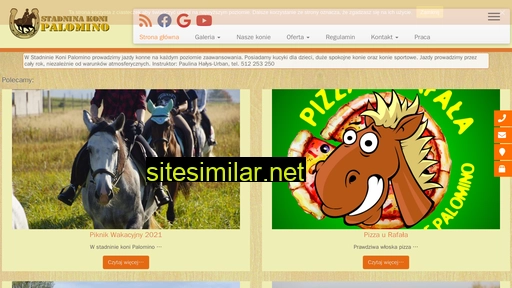 stadnina-palomino.pl alternative sites
