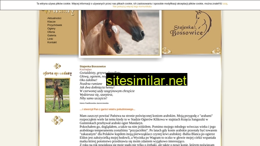 stajenkabossowice.pl alternative sites