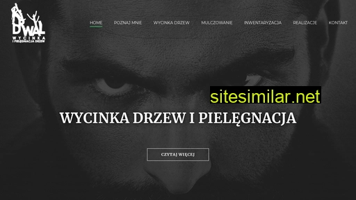 staszekdrwal.pl alternative sites