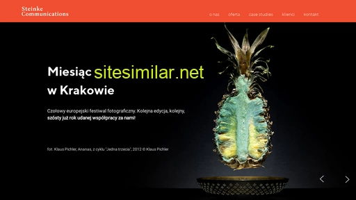 steinke.com.pl alternative sites