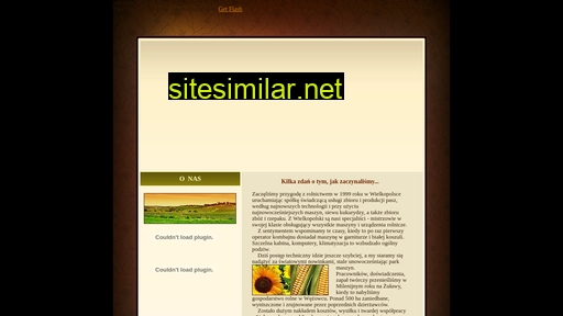 strautmann.pl alternative sites
