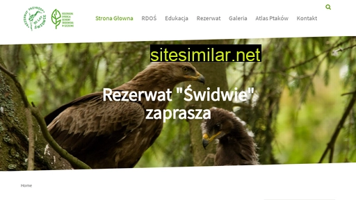 swidwie.pl alternative sites