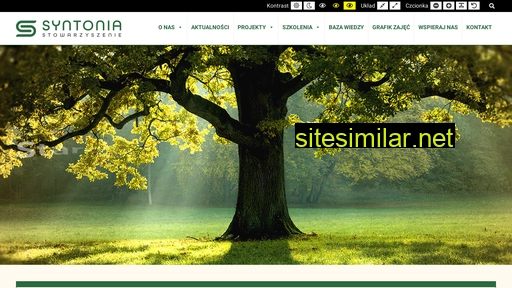 syntonia.org.pl alternative sites