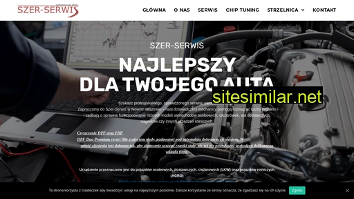 szer-serwis.pl alternative sites