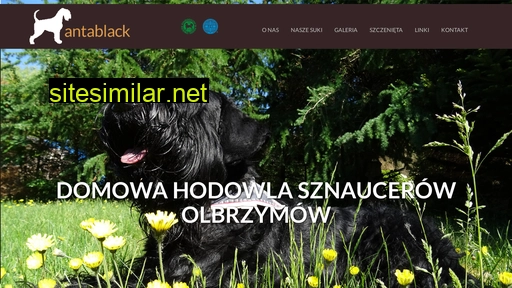 sznaucer-olbrzym.pl alternative sites