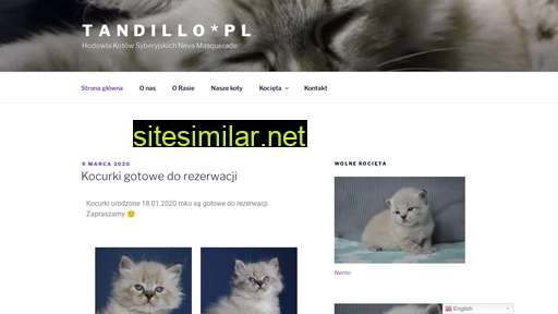 tandillo.pl alternative sites