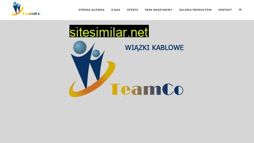 teamco.pl alternative sites