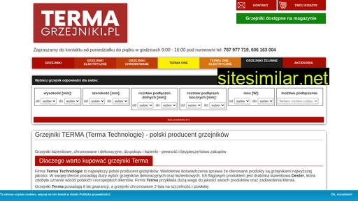 termagrzejniki.pl alternative sites
