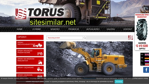 torus.com.pl alternative sites