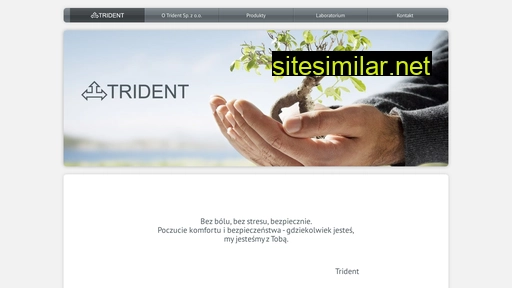 tridentsa.pl alternative sites