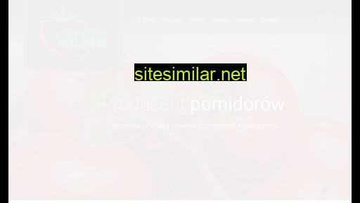 wilner.pl alternative sites