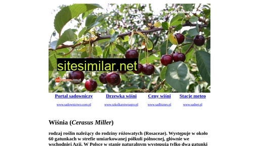 wisnia.com.pl alternative sites