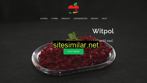 witpol.net.pl alternative sites