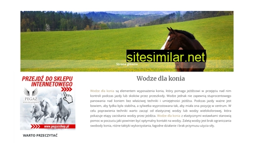 wodze-pomoce.pl alternative sites