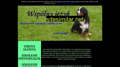wspolny-jezyk.pl alternative sites