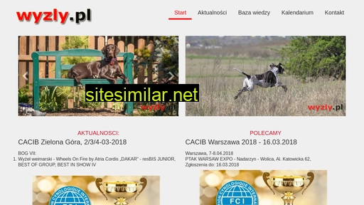 wyzly.pl alternative sites