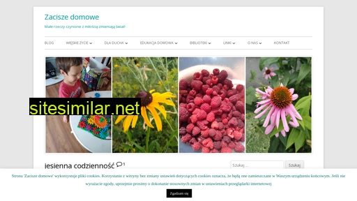 zaciszedomowe.pl alternative sites