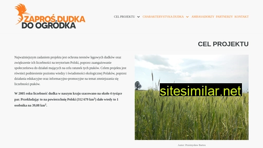 zapros-dudka.pl alternative sites