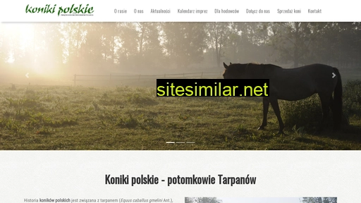 zhkp.pl alternative sites