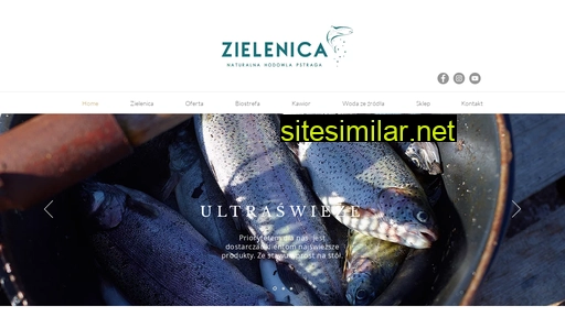 zielenica.pl alternative sites