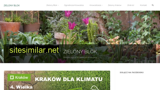 zielonyblok.pl alternative sites