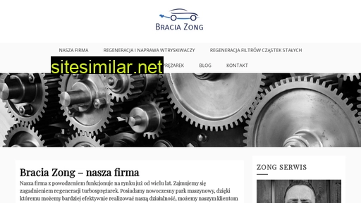 zong.com.pl alternative sites