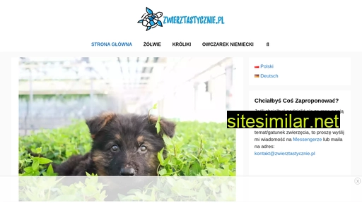 zwierztastycznie.pl alternative sites