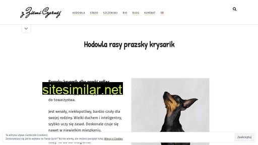 zziemiczarnej.pl alternative sites