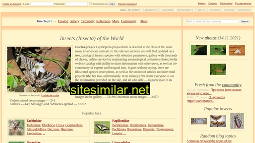 insecta.pro alternative sites