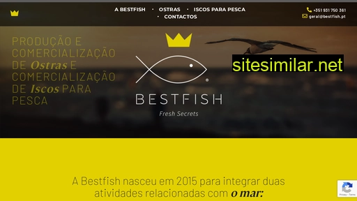 bestfish.pt alternative sites