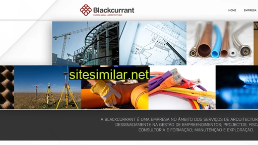 blackcurrant.pt alternative sites
