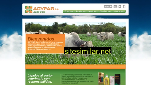 agypar.com.py alternative sites