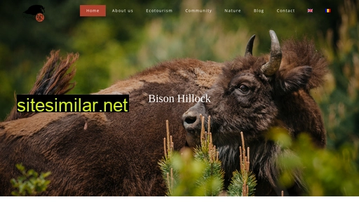 bisonhillock.ro alternative sites