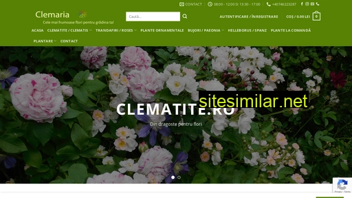 Clematite similar sites
