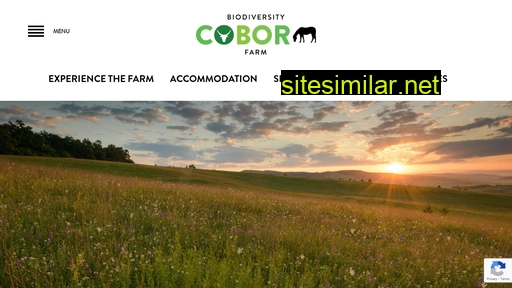 cobor-farm.ro alternative sites