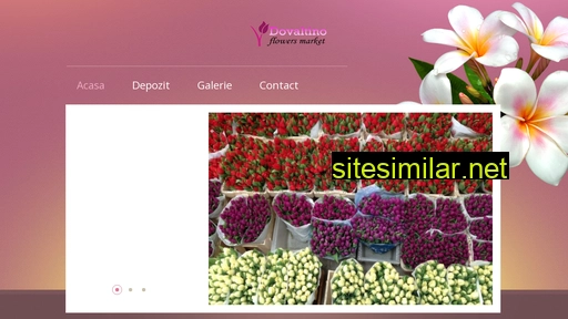 dovaltino-flowers.ro alternative sites