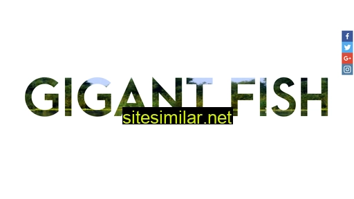 Pensiuneagigantfish similar sites