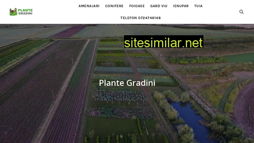 Plantegradini similar sites