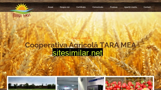 tara-mea.ro alternative sites