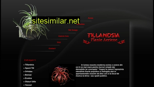 Tillandsia similar sites