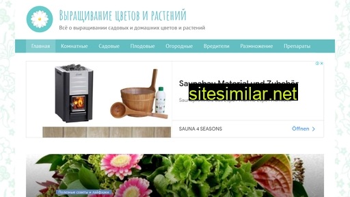 1pocvetam.ru alternative sites